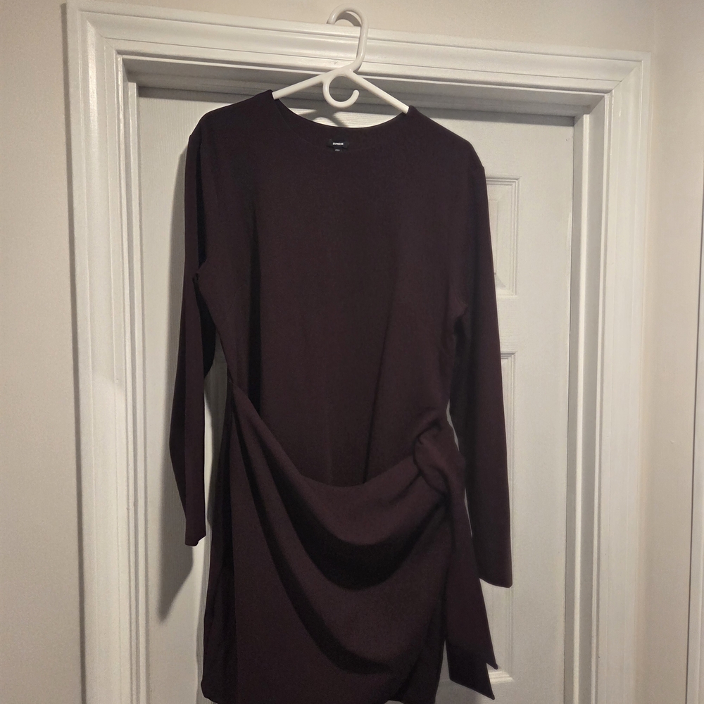 Express Deep Purple Long Sleeve Dress